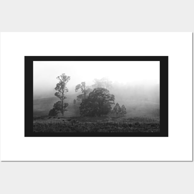 Foggy Morning II Wall Art by incredi